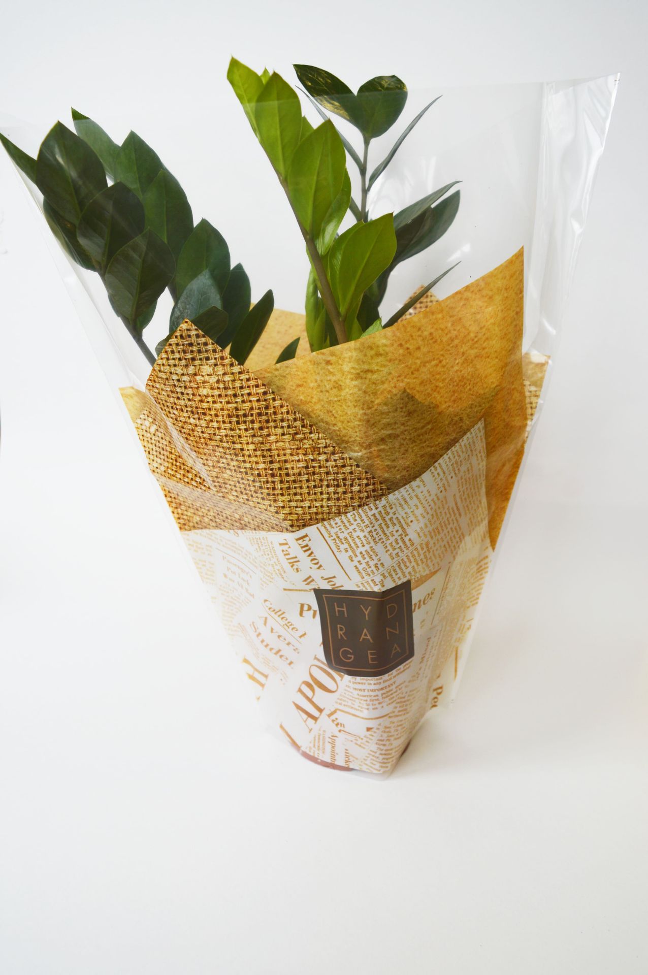 Производство полимерных гибких упаковочных материалов в Санкт-Петербурге - ООО ТПК Политехника